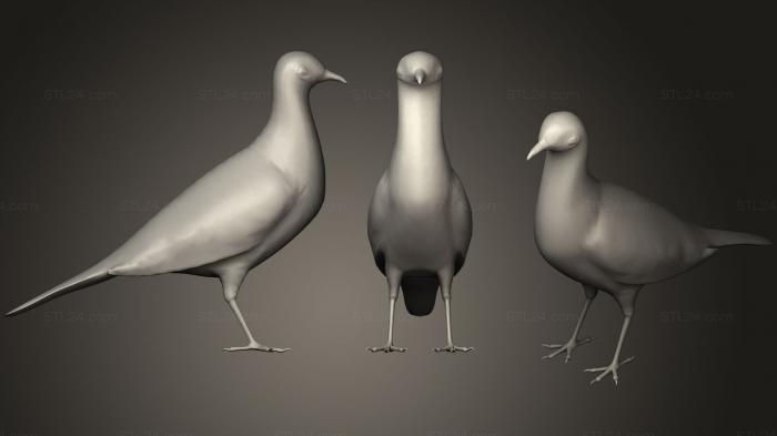 Статуэтки животных (Пятнистый голубь, STKJ_1491) 3D модель для ЧПУ станка